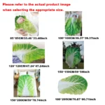 Double Sided Cabbage Blanket - It's A Bloody Big Cabbage Leaf. Pretend You're A Pixie - Image 6