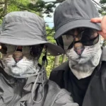 3D Ear Hanging Cat Mask - So You Think You're A Bit Of A Pussy. You Are Now - Image 3