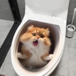 Dog In The Bog Sticker - Traumatise Your Children At Toilet Time. Endless Fun - Image 3